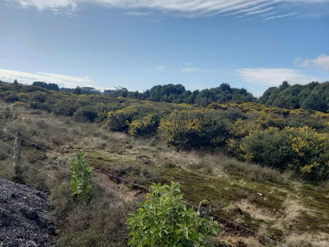 Industrial en venta Puerto Varas (69265) - Imagen 13