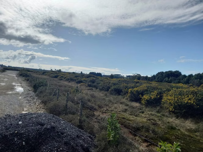 Industrial en venta Puerto Varas (69265) - Imagen 5