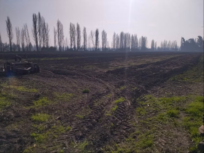 Venta Terreno Agricola Lampa - Opcion Derechos de Agua