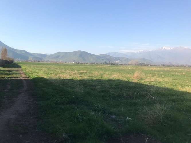 Venta Industrial 60.000 m2 - Colina - Imagen 5