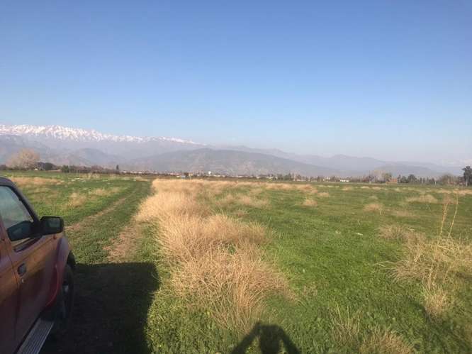 Venta Terreno 125.000 m2 - Colina - Imagen 8