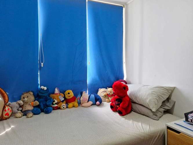 Negocio atractivo (69867) - Imagen 6