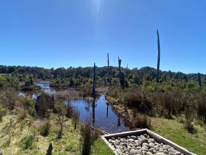 Parcelas, Fundo Las Cumbres (69843) - Imagen 7