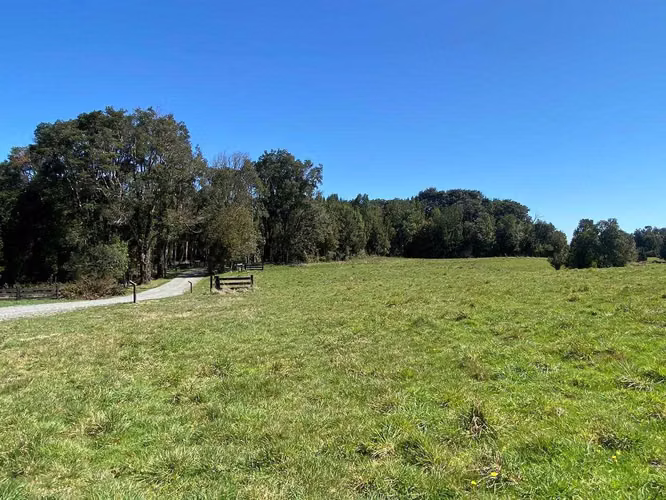 Parcelas, Fundo Las Cumbres (69843) - Imagen 5