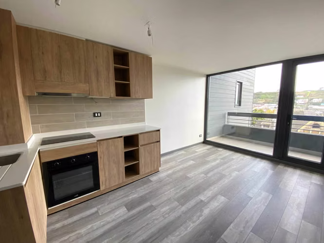 Departamento en venta en Puerto Varas (69745)