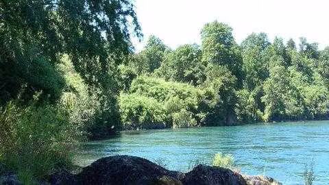 Terreno en Los Lagos / Excelente Inversión (69744) - Imagen 6