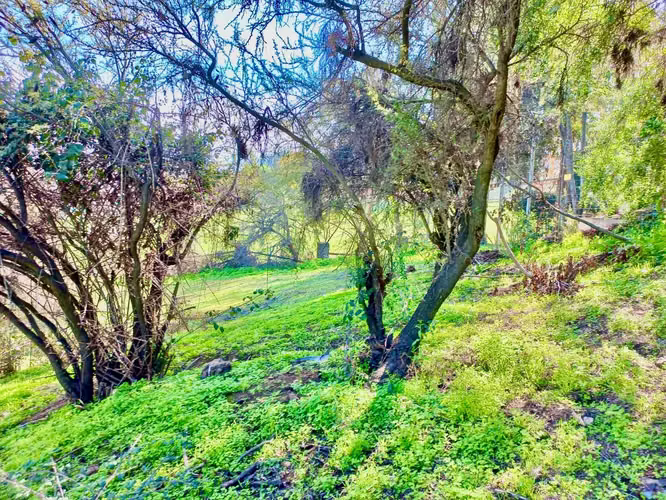 EXCLUSIVO SITIO EN VALLE ESCONDIDO (69711)