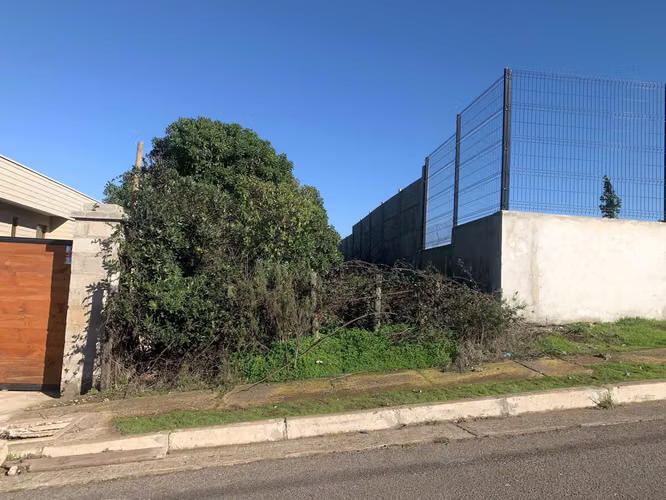 Terreno excelente ubicación (70139)