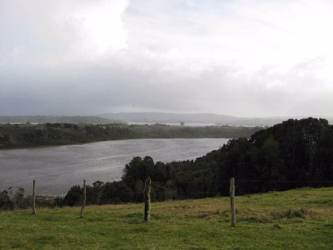 Venta Parcela en Chiloé, Sector Huilqueco (70421)