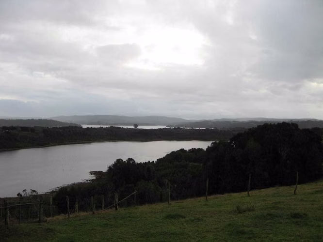 Venta Parcela en Chiloé, Sector Huilqueco (70421)