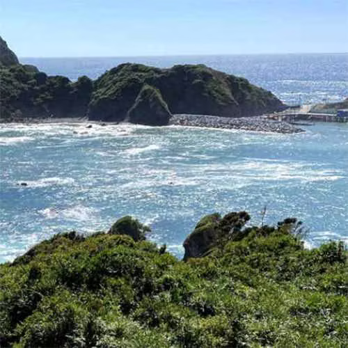 Desde UF 2.500 en Proyecto De Conservación (70519)