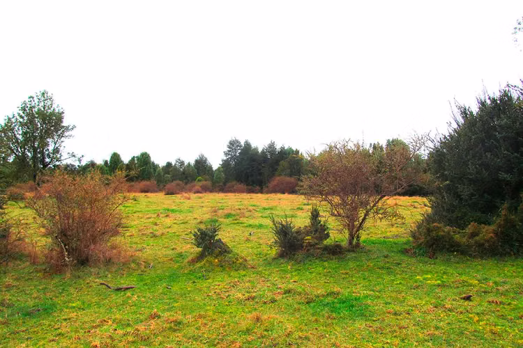 VENTA DE PARCELA en Sector Rural Aguas Buenas - Chiloé