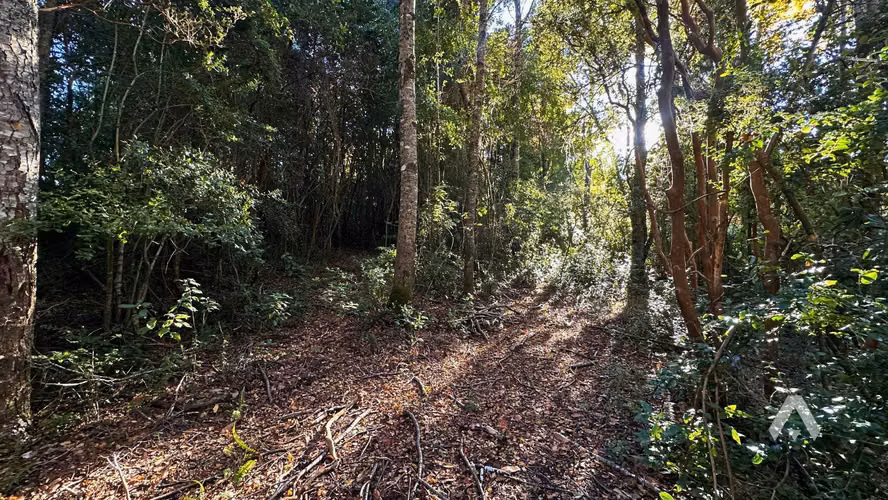 ID:067V Parcela venta a 25 minutos de Pucón (71229) - Imagen 14