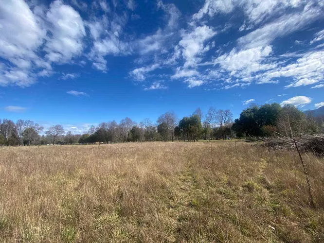 SE VENDE 1 HECTÁREA EN CUNCO (71648) - Imagen 16