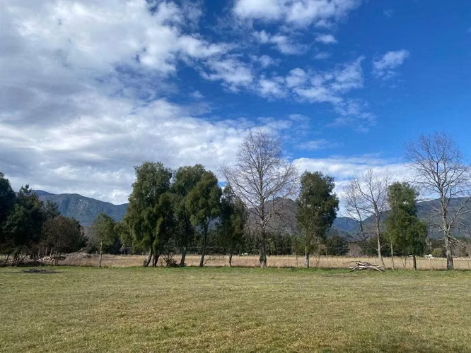 SE VENDE 1 HECTÁREA EN CUNCO (71648) - Imagen 6