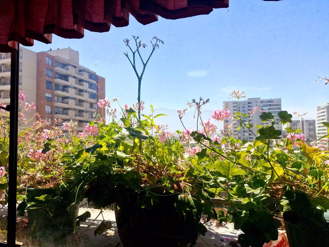 Fabuloso departamento (71621)