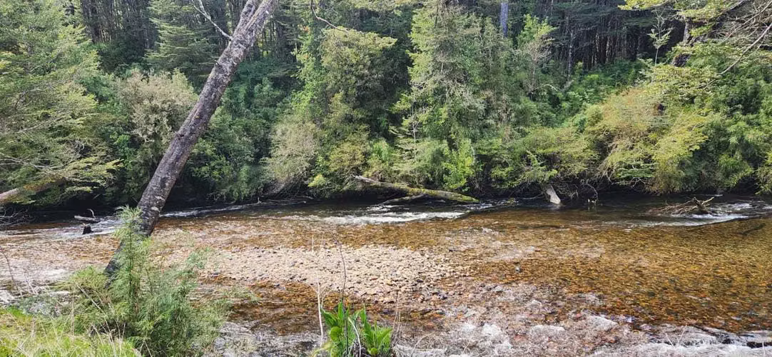 Parcela orilla río Cóndor (71531)