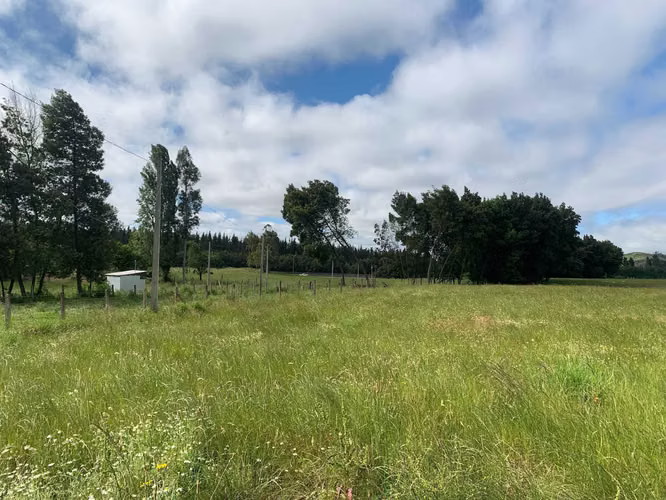 Venta Campo Orilla Ruta 5 (71935)