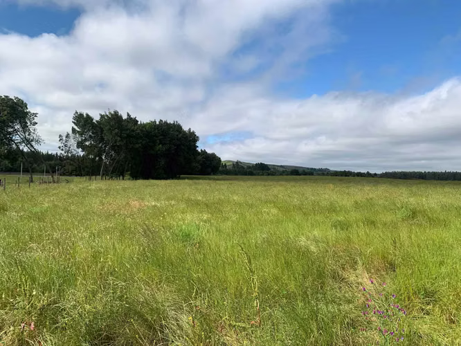 Venta Campo Orilla Ruta 5 (71935)
