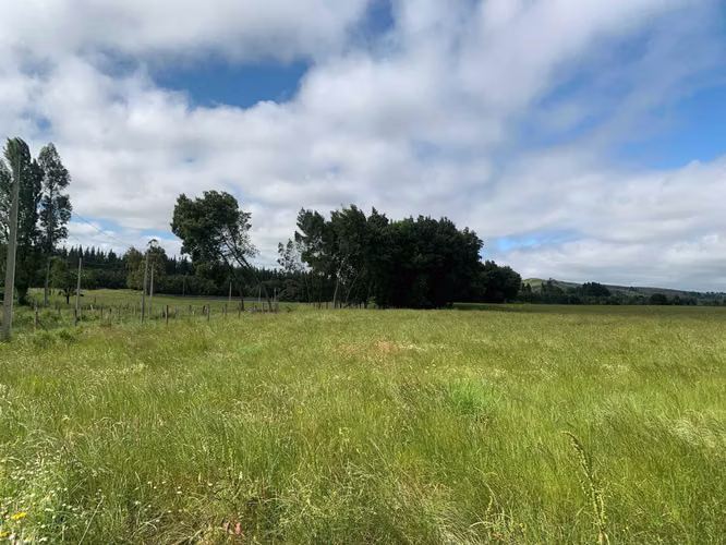 Venta Campo Orilla Ruta 5 (71935)