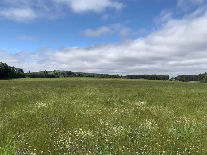 Venta Campo Orilla Ruta 5 (71935)