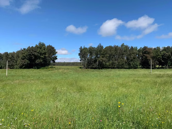 Venta Campo Orilla Ruta 5 (71935)