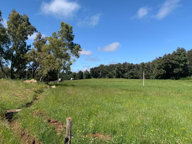Venta Campo Orilla Ruta 5 (71935)