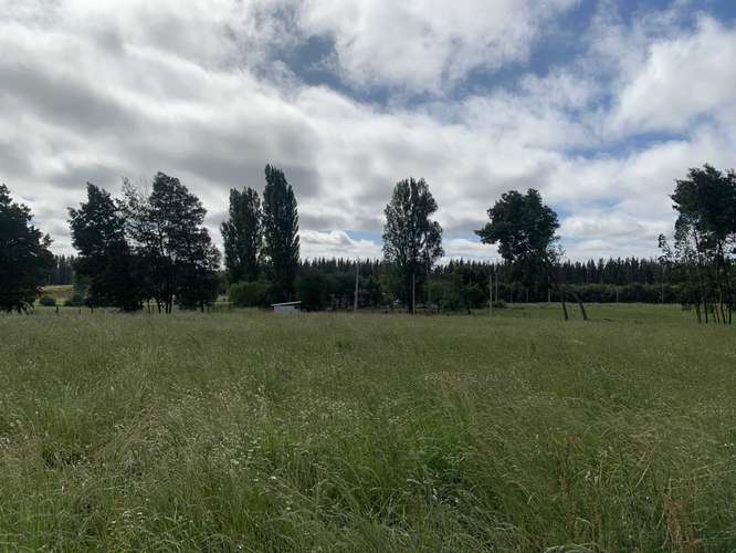 Venta Campo Orilla Ruta 5 (71935)