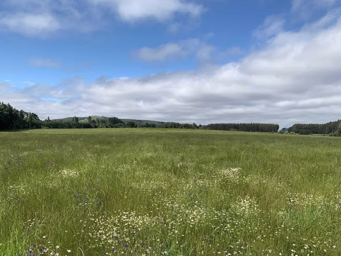 Venta Campo Orilla Ruta 5 (71935)