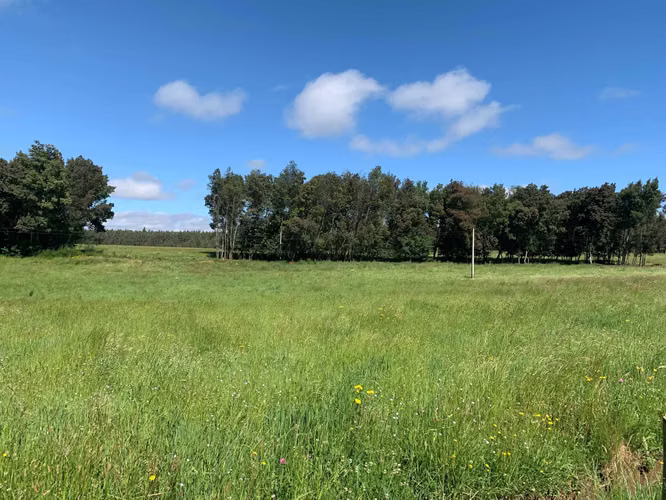 Venta Campo Orilla Ruta 5 (71935)