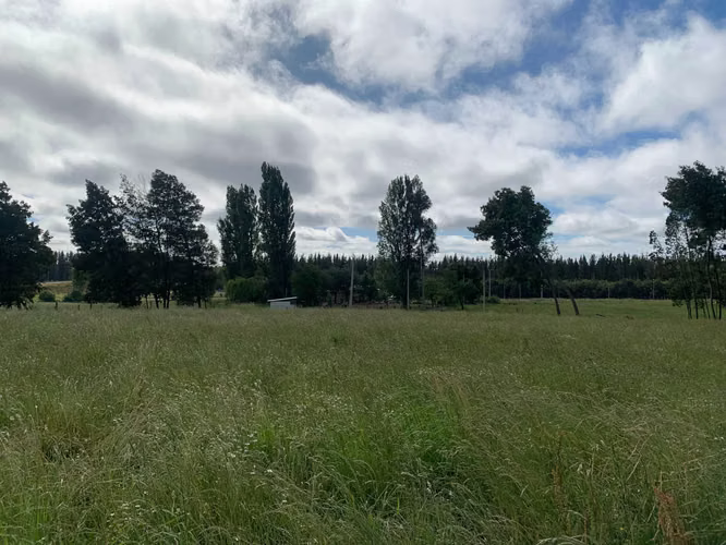 Venta Campo Orilla Ruta 5 (71935)