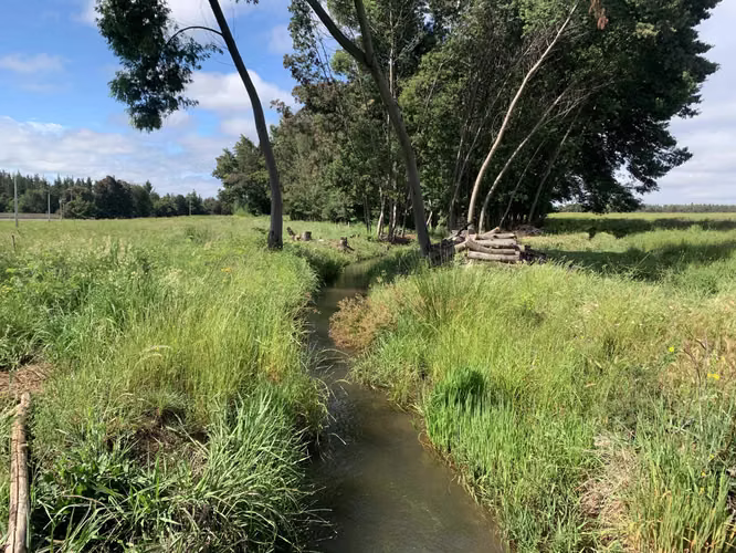 Venta Campo Orilla Ruta 5 (71935)