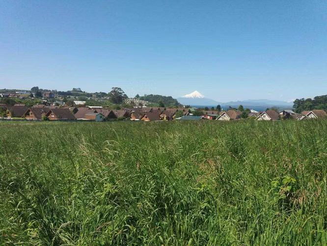 SITIO  EN AVENIDA GRAMADO PUERTO VARAS (71860)