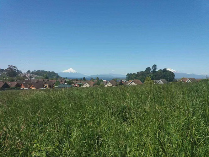SITIO  EN AVENIDA GRAMADO PUERTO VARAS (71860)