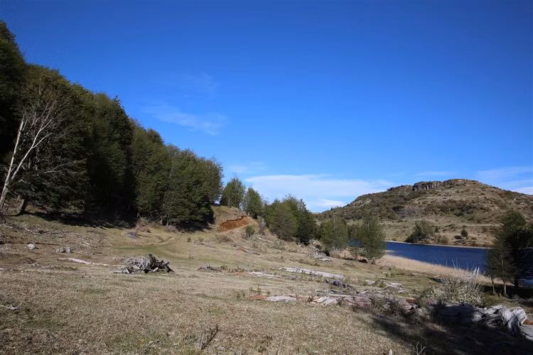 AGRICOLA Siete Lagunas