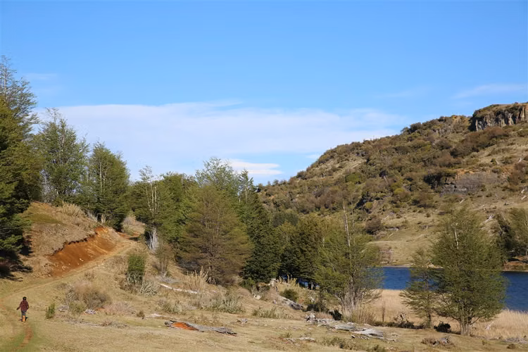 AGRICOLA Siete Lagunas