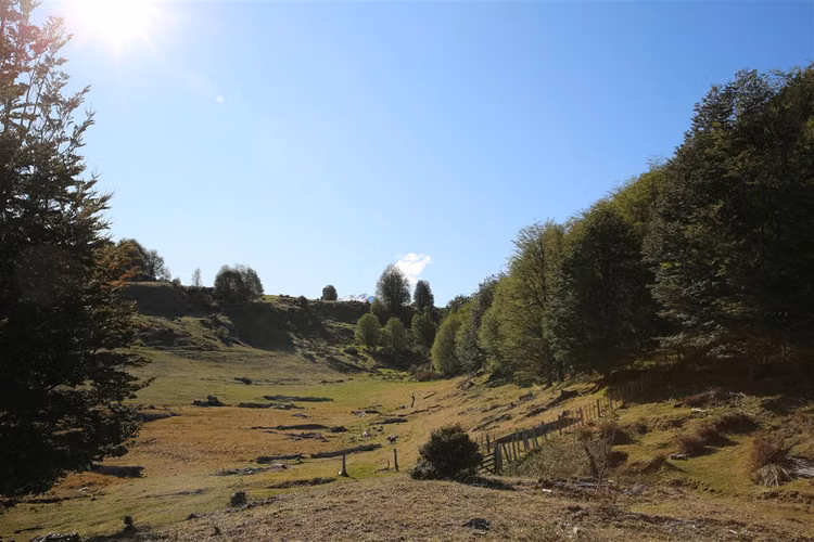 AGRICOLA Siete Lagunas
