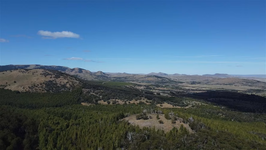 AGRICOLA Sector Coyhaique Alto