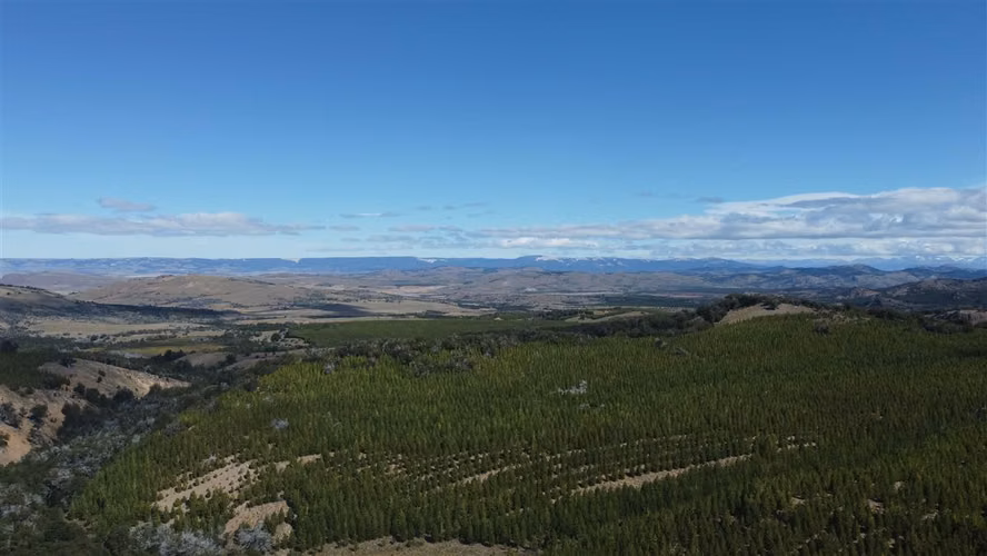 AGRICOLA Sector Coyhaique Alto