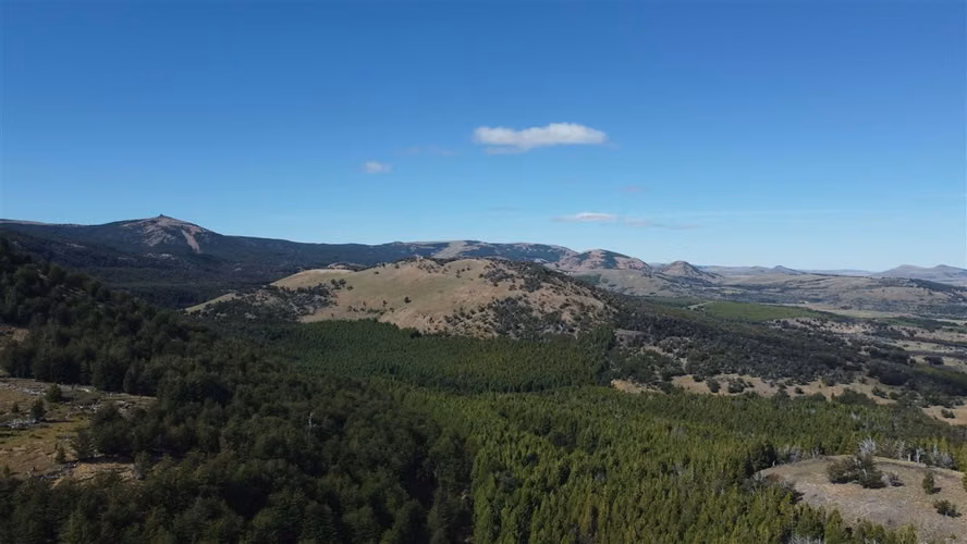 AGRICOLA Sector Coyhaique Alto