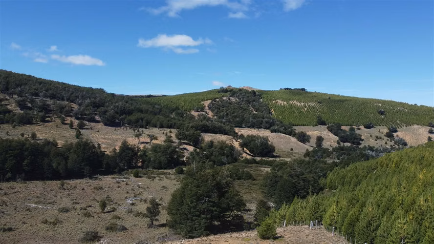 AGRICOLA Sector Coyhaique Alto