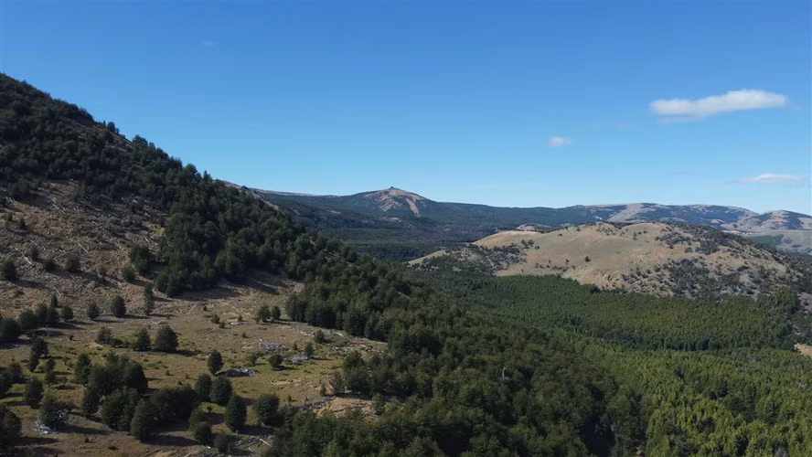 AGRICOLA Sector Coyhaique Alto