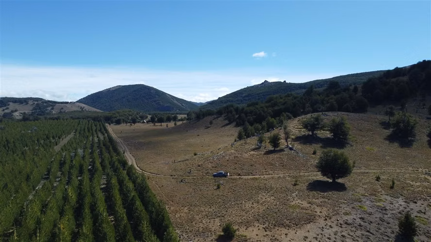 AGRICOLA Sector Coyhaique Alto