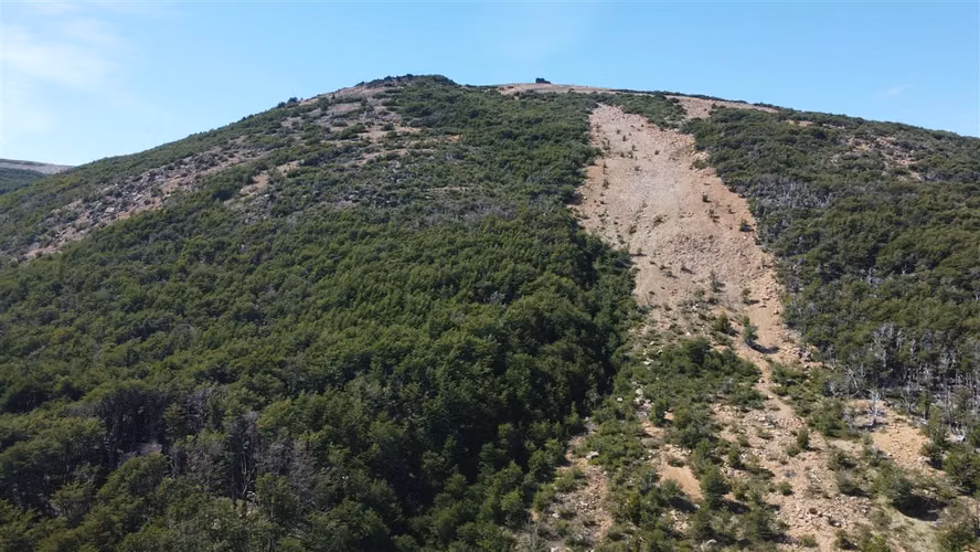 AGRICOLA Sector Coyhaique Alto