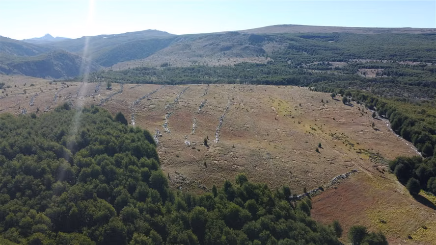 AGRICOLA Sector Coyhaique Alto