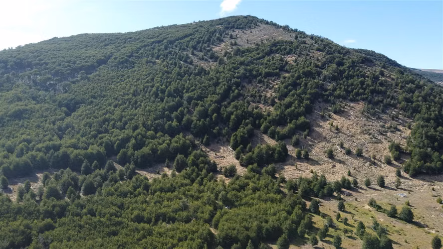 AGRICOLA Sector Coyhaique Alto
