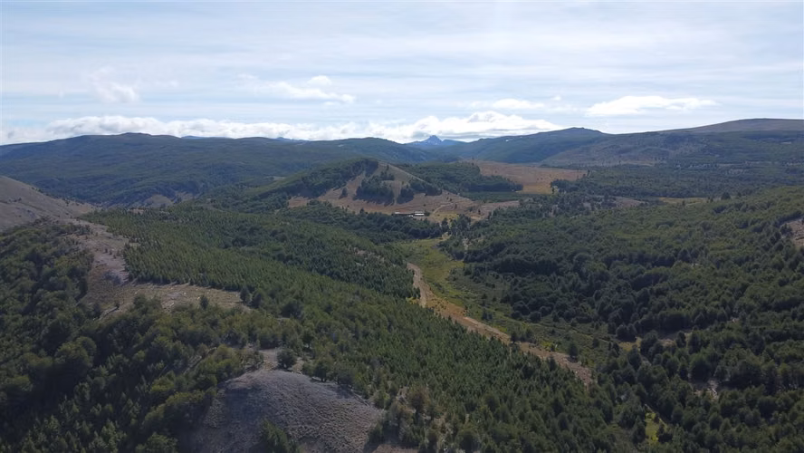 AGRICOLA Sector Coyhaique Alto
