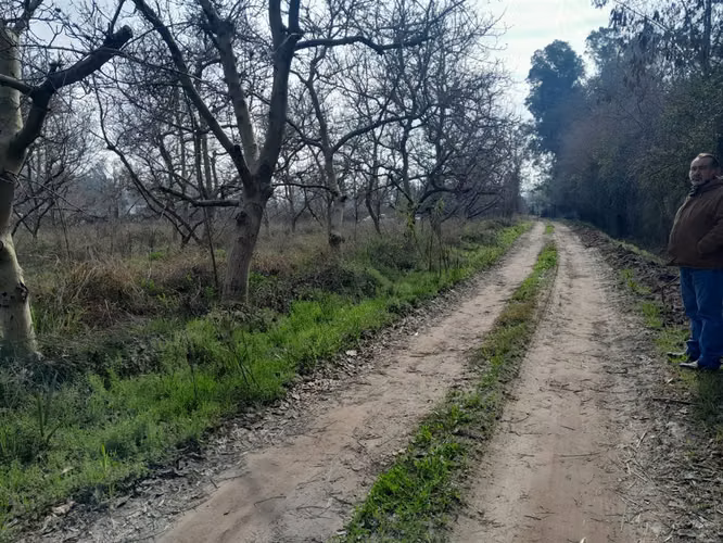 PARCELA Los Naranjos