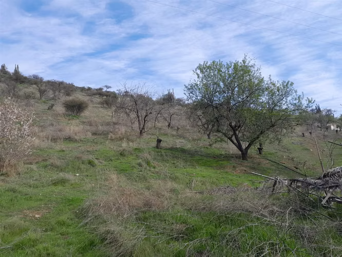PARCELA Los Naranjos