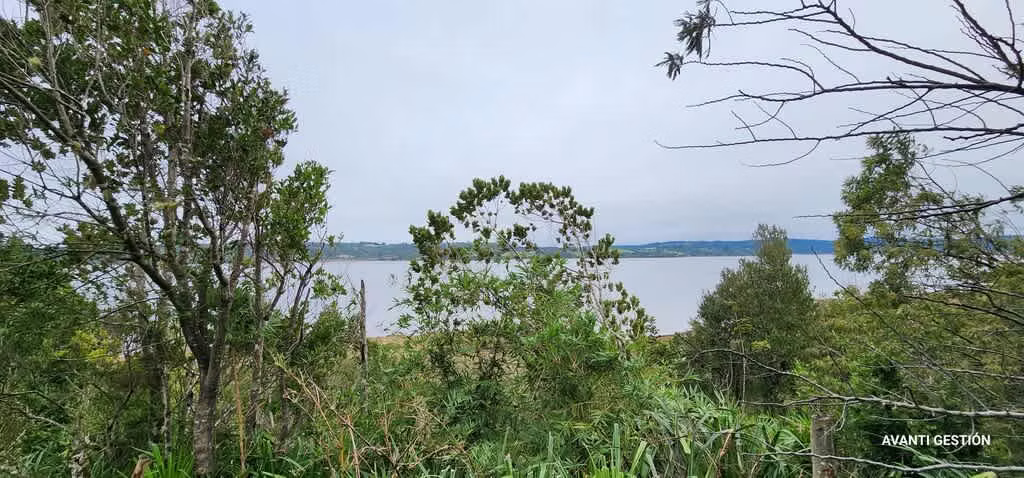 Hermoso campo a metros de la playa  (72113)